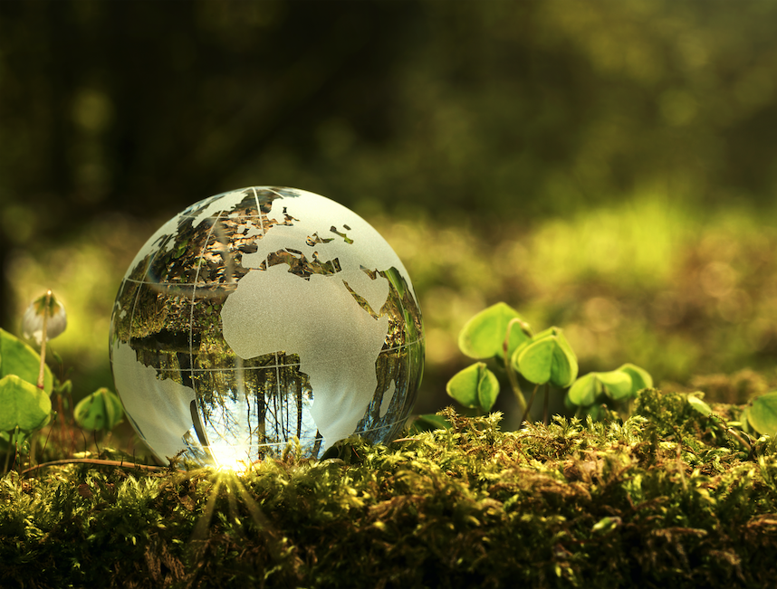 Image of crystal ball on green grass